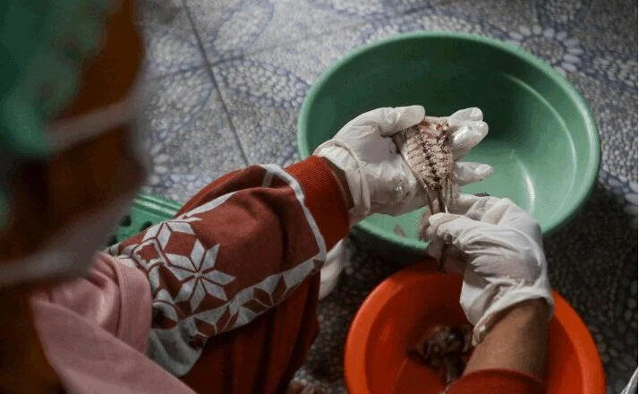 Olah Limbah Jadi Berkah – Omzet Rp 1 Miliar